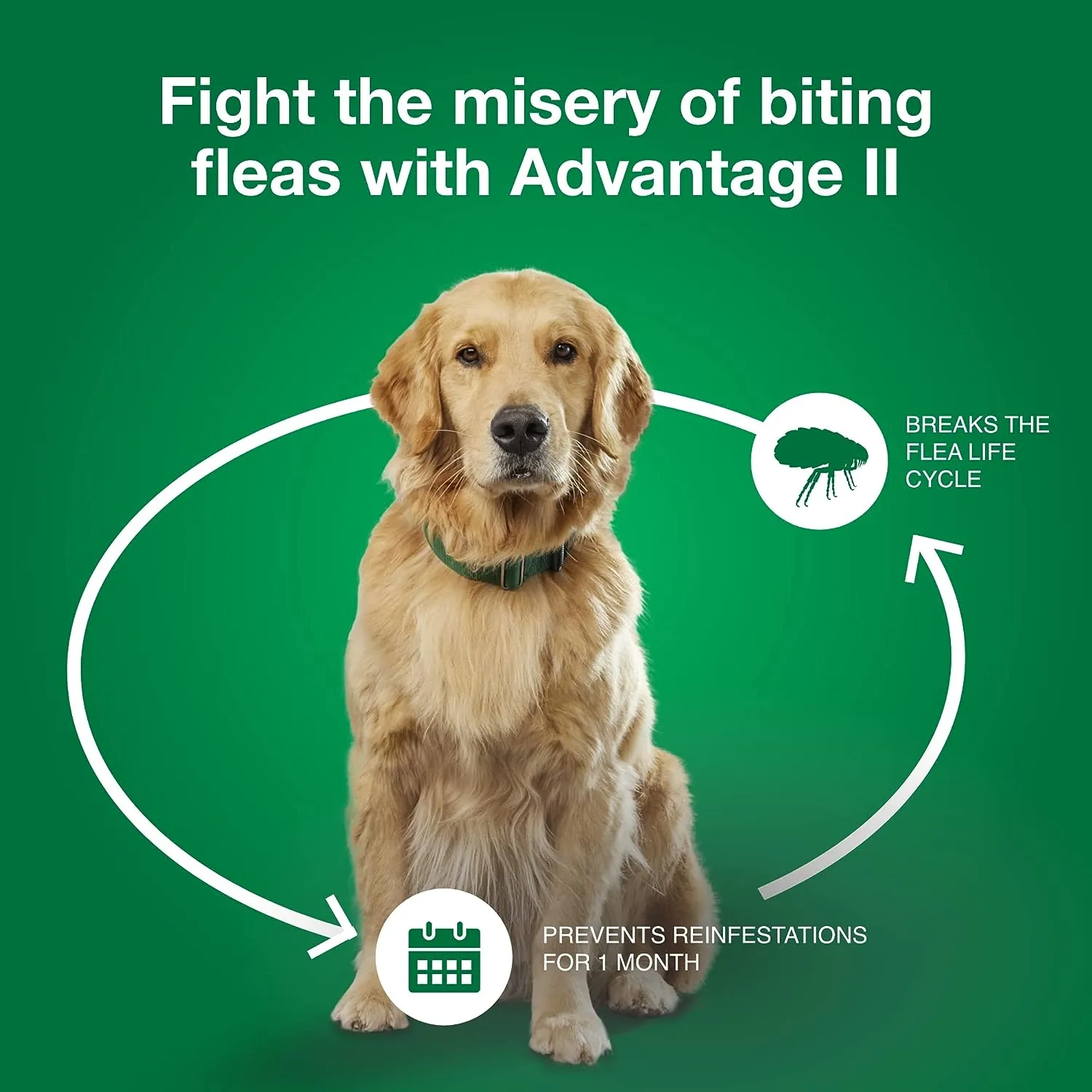 Advantage II for Dogs