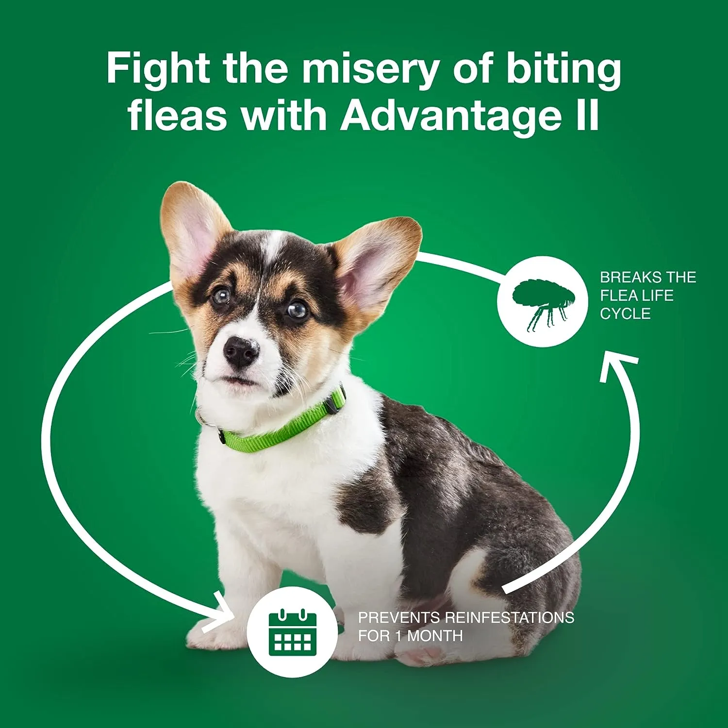 Advantage II for Dogs