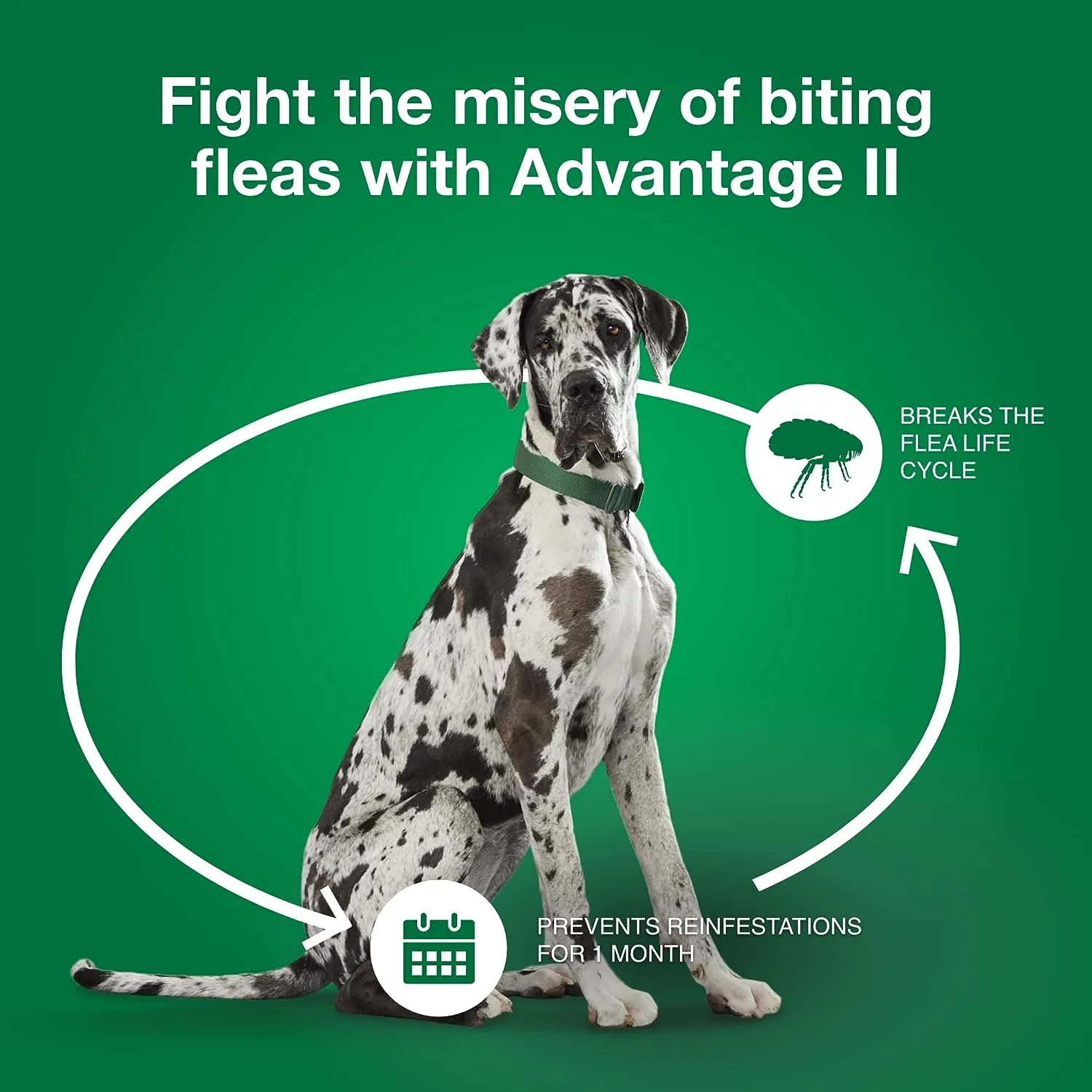 Advantage II for Dogs