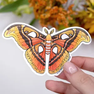 Atlas Moth Vinyl Sticker