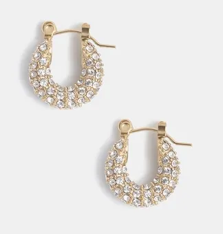 Audrey Hoops