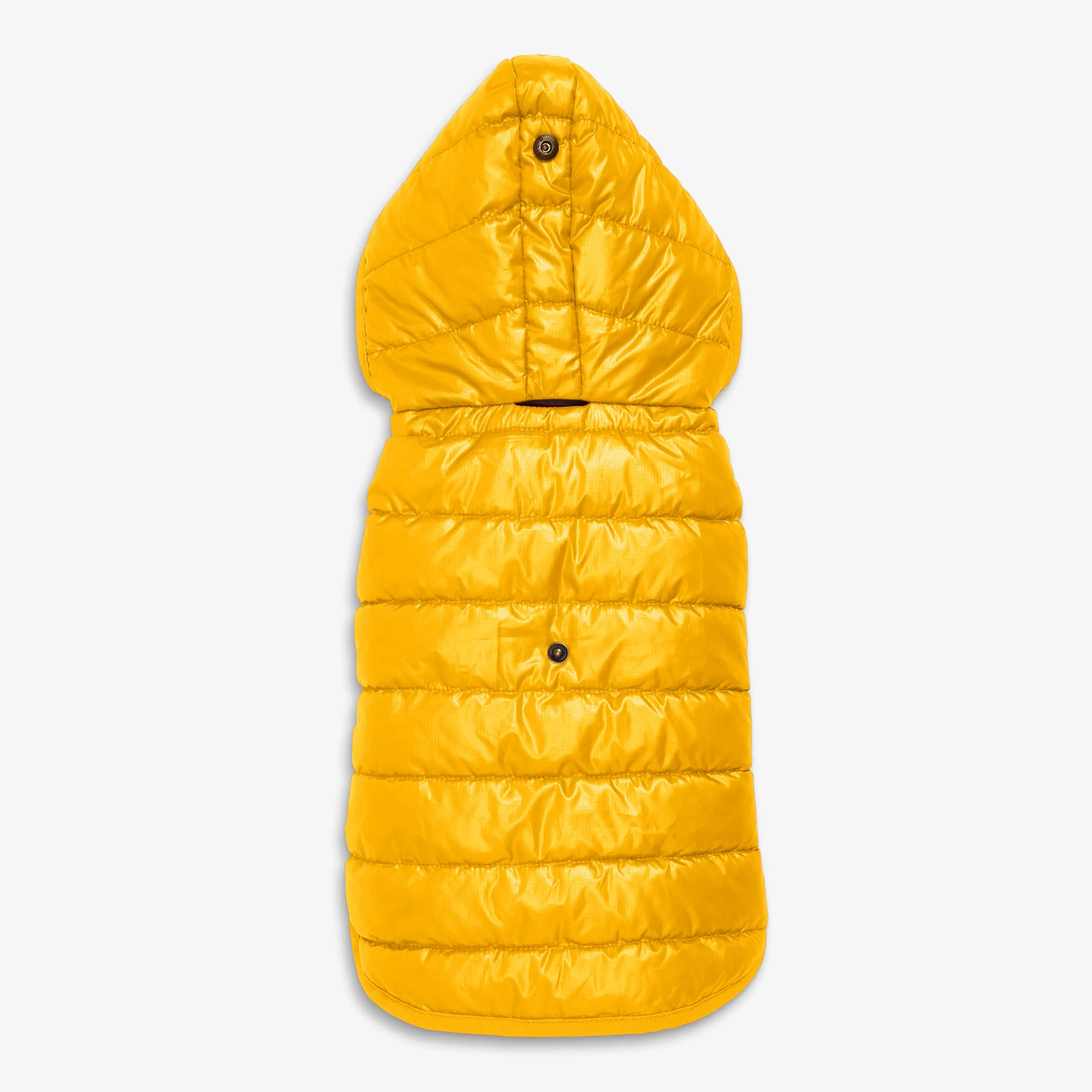 Clearance pet puffer jacket