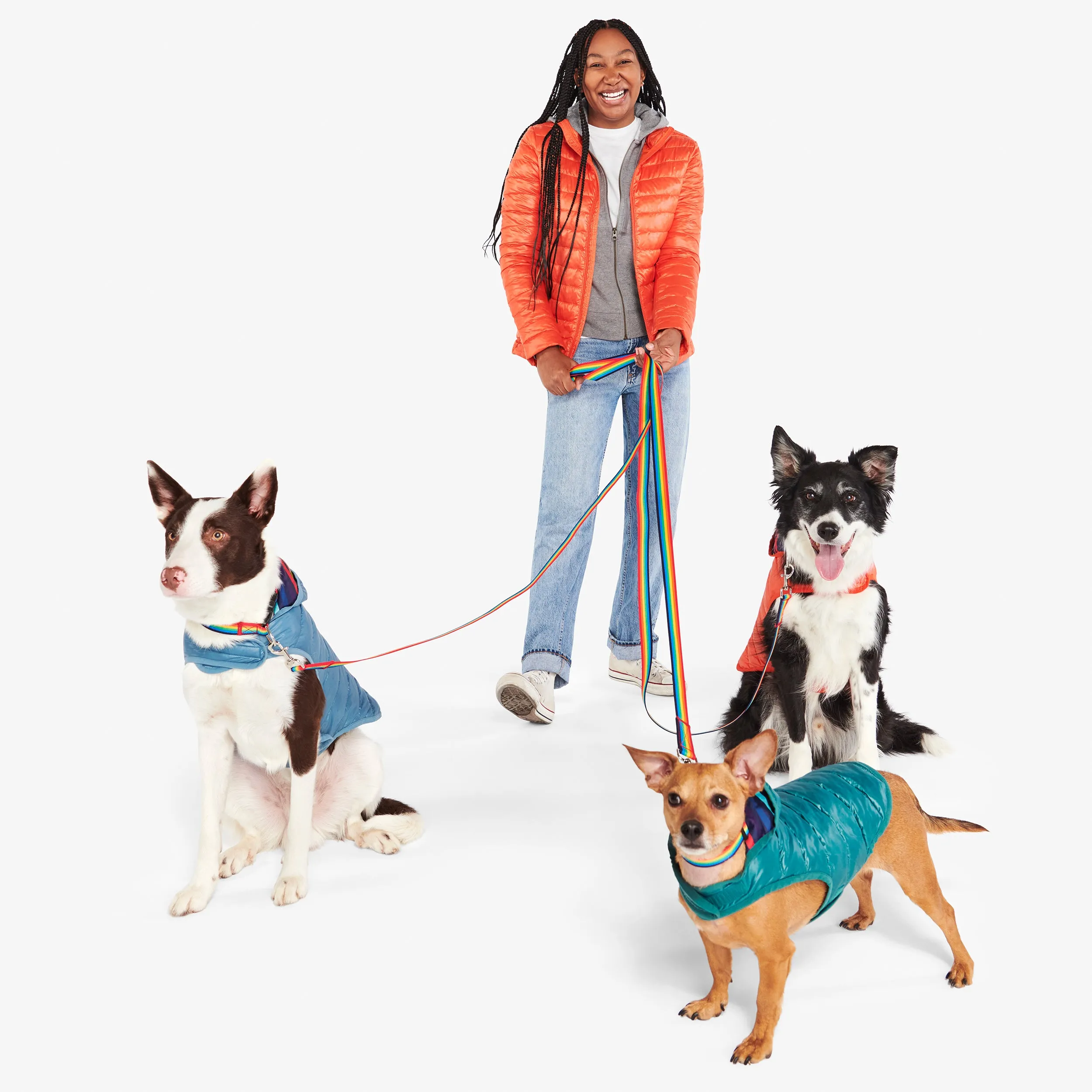 Clearance pet puffer jacket