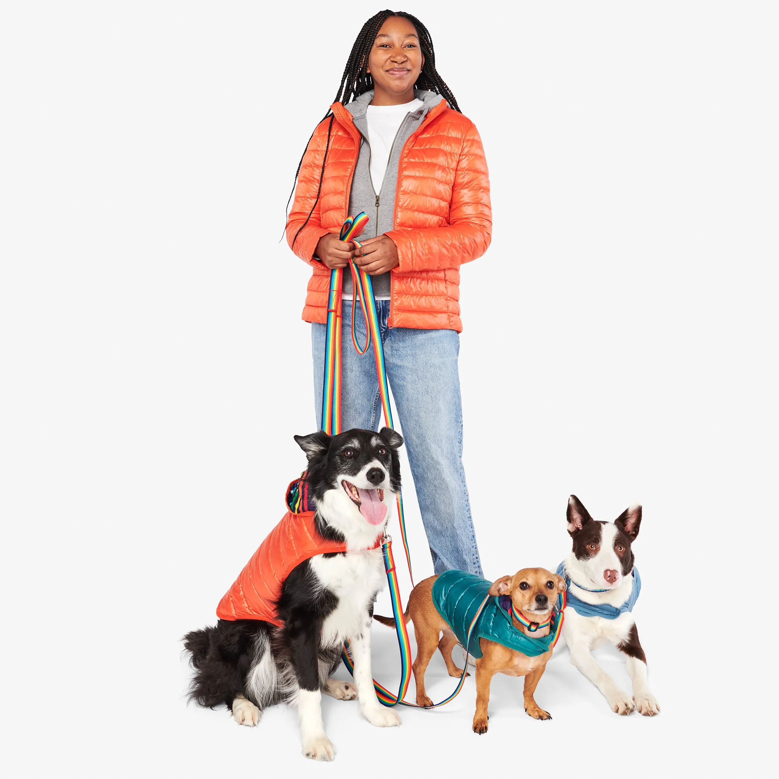 Clearance pet puffer jacket