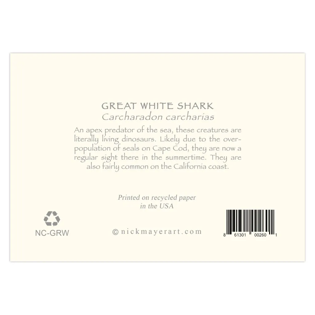 Great White Shark Notecards