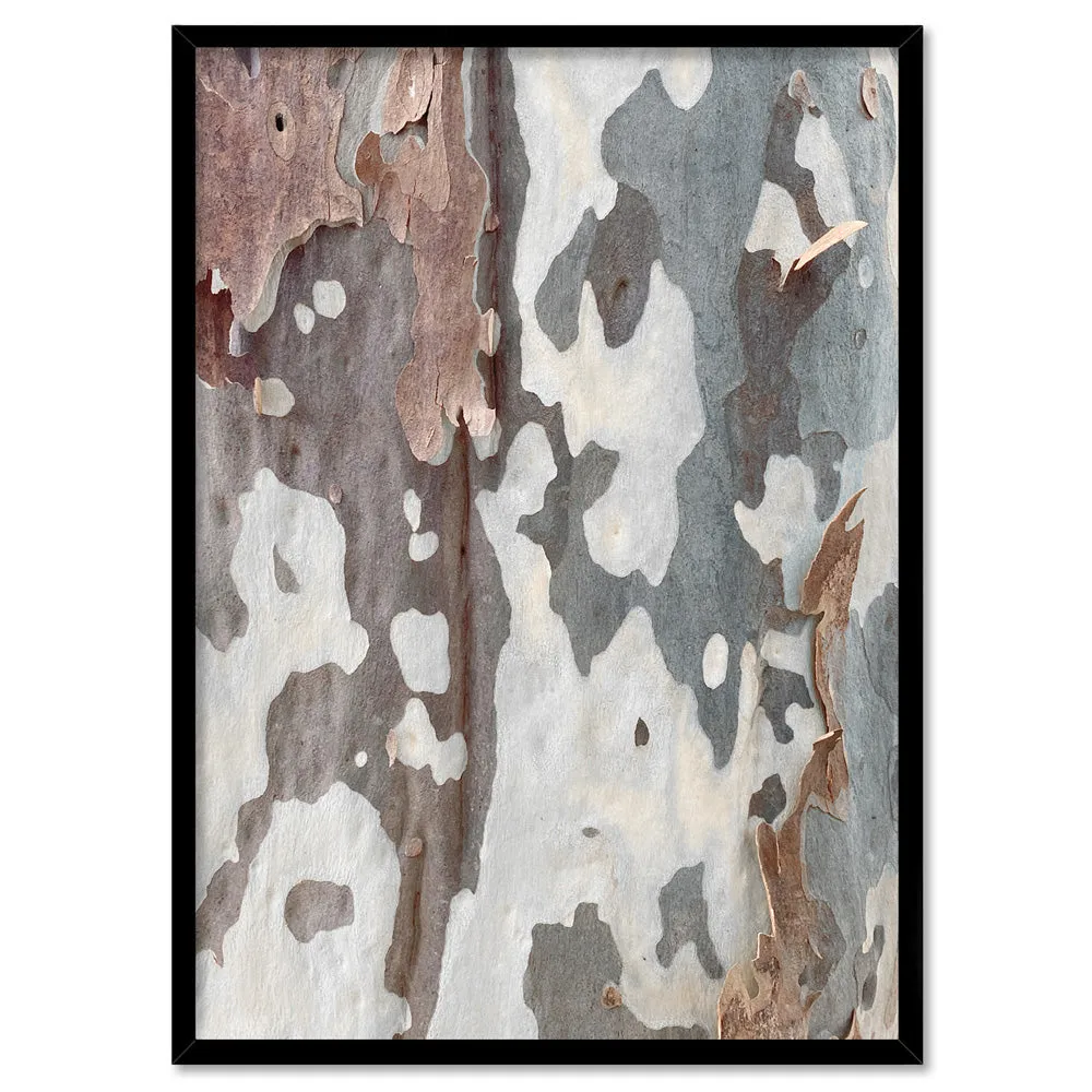 Gumtree | Blue Gum Bark I - Art Print