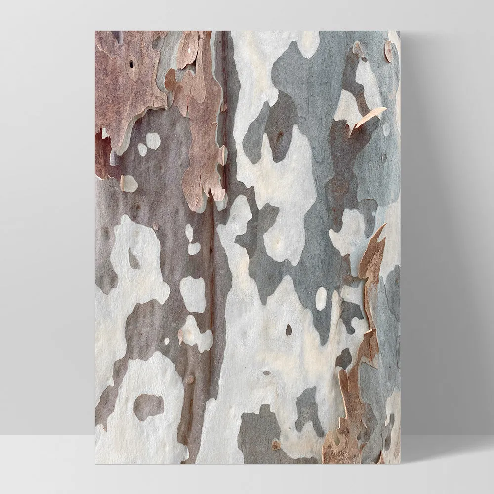 Gumtree | Blue Gum Bark I - Art Print