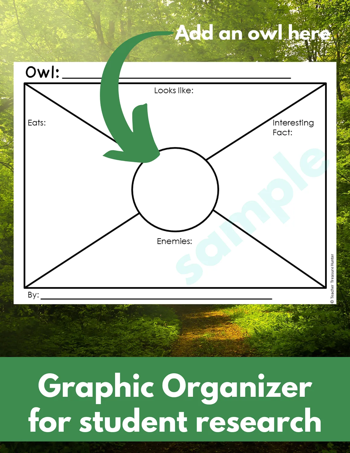 Learn about Owl Species