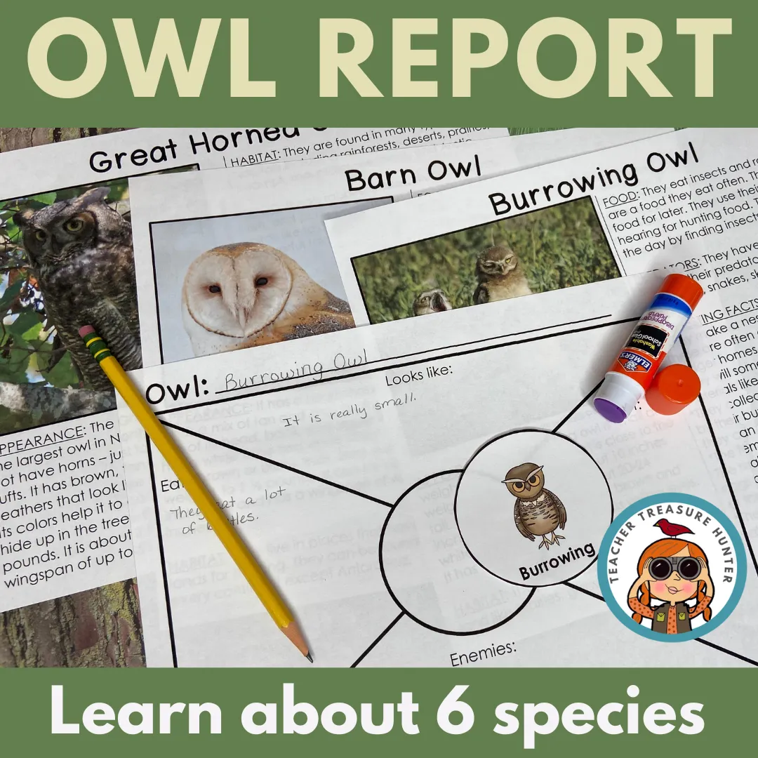 Learn about Owl Species