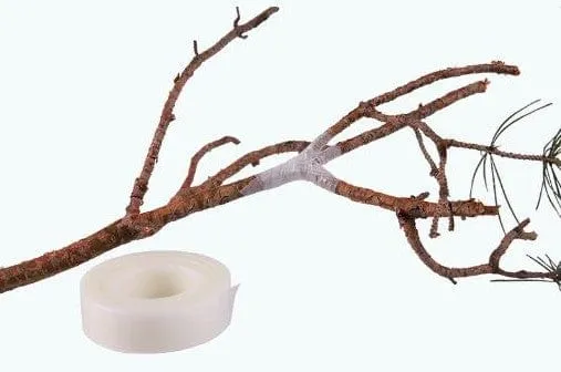 Parafilm Grafting Tape