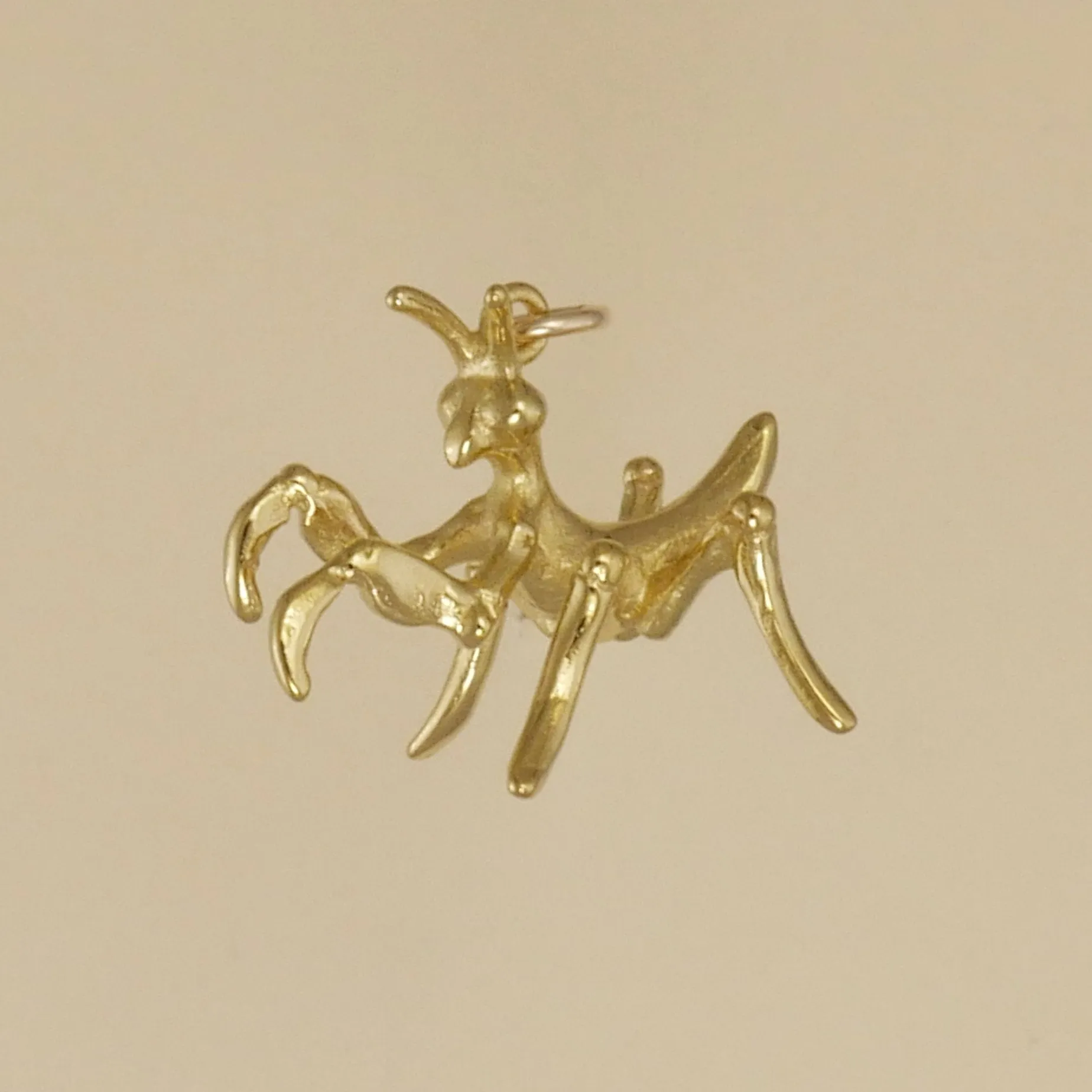 Praying Mantis Baby Charm