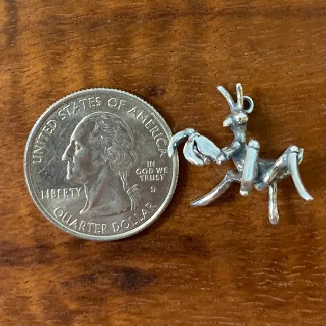 Praying Mantis Baby Charm