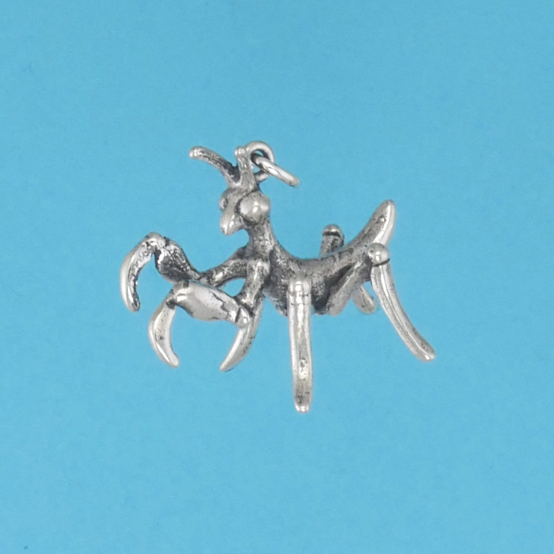 Praying Mantis Baby Charm