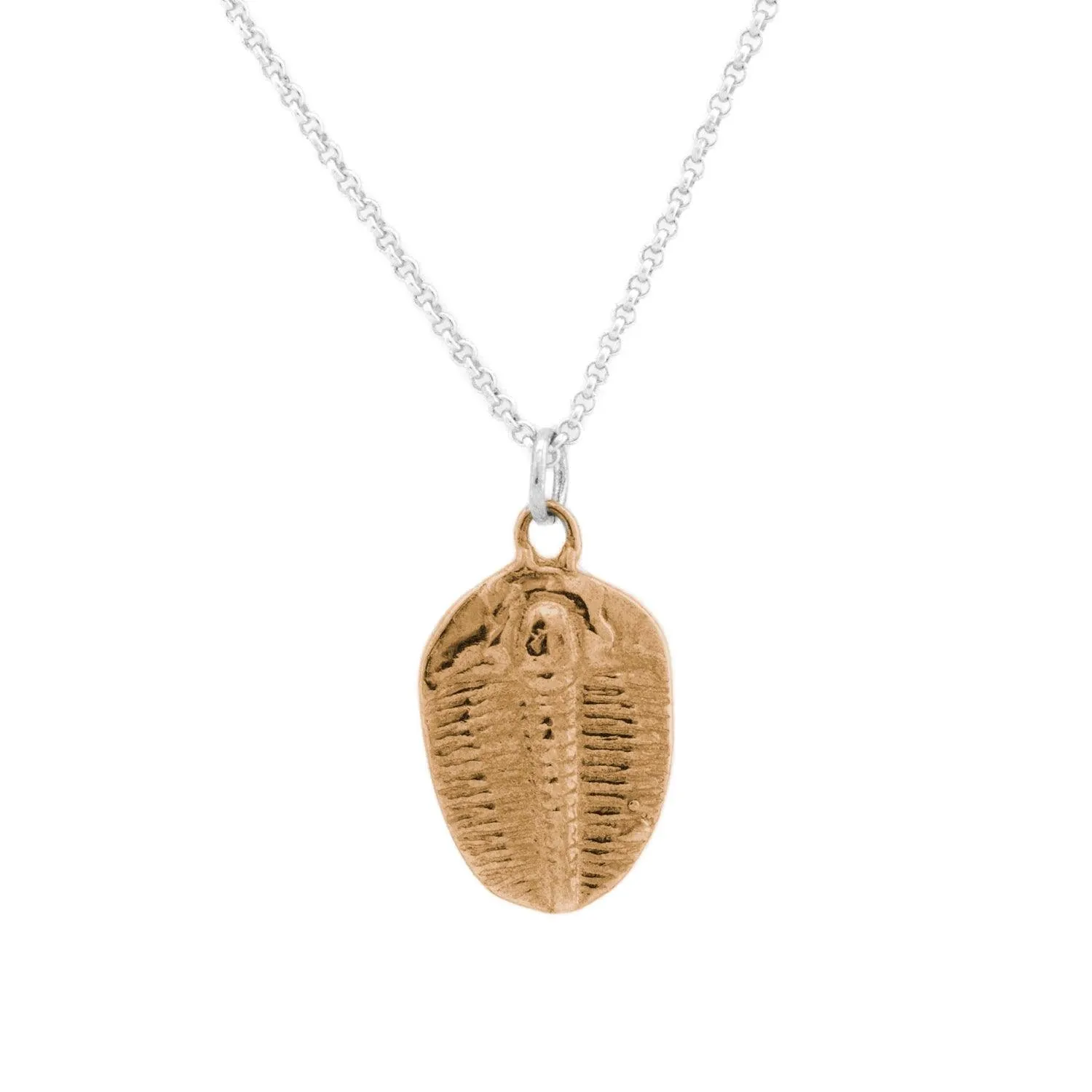 Trilobite pendant