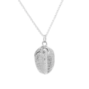 Trilobite pendant